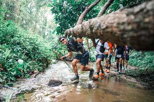 BIB: 
                            <button type="button" onclick="openModal(25374504)" class="btn btn-primary btn-sm float-right btn-popup" data-toggle="modal" data-target=".modal-high-quality">
                        <i class="fas fa-shopping-cart"></i> Add to Cart
                    </button>
                                            <button type="button" onclick="isThisMe(25374504, true)" class="btn btn-success btn-sm float-right btn-popup btn-isme hidden" data-toggle="tooltip" data-placement="bottom" title="นี่คือรูปของคุณใช่ไหม คลิกที่นี่เพื่อเอาเข้าอัลบั้ม">
                        <i class="fas fa-plus"></i> Add to album
                    </button>
                    <button type="button" onclick="isThisMe(25374504, false)" class="btn btn-warning btn-sm float-right btn-popup btn-isnotme hidden">
                        <i class="fas fa-ban"></i> Remove from album
                    </button>